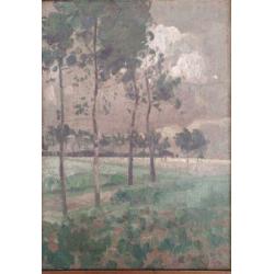 Jan van Malderen (1883-1958) - landschap met bomen 1912