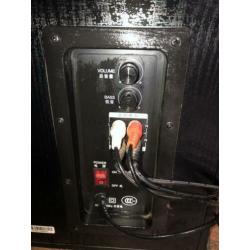 Vaensong speaker