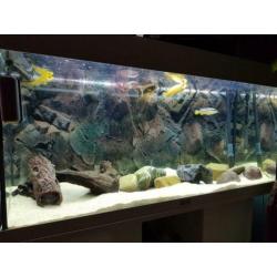 Juwel 180 met wit meubel en... een nano cube