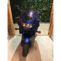 yamaha thundercat 1999