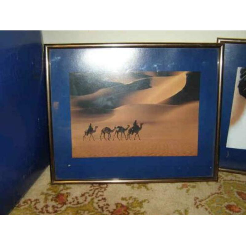 Twee Arabische foto's (A18 2325)