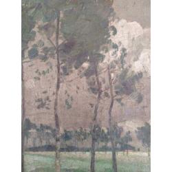 Jan van Malderen (1883-1958) - landschap met bomen 1912