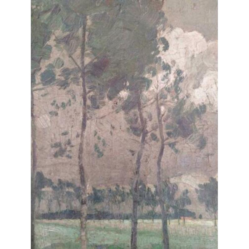 Jan van Malderen (1883-1958) - landschap met bomen 1912