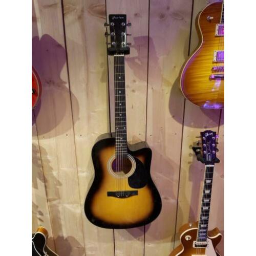 Pasadena western gitaar voor de doe-het-zelver
