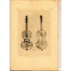 Vijf grote antieke gravures uit een XIX - eeuw boek