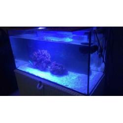 Zeeaquarium / zoutwateraquarium