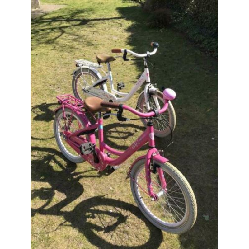 Twee prachtige fietsjes van Lief